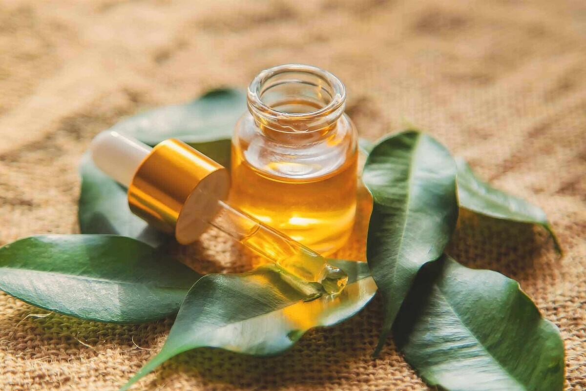 Çay Ağacı Yağı Nedir?