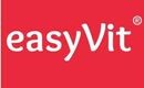 EasyVit