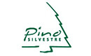 Pino