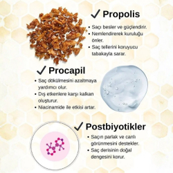 Ashley Joy Kuru ve Hassas Saçlar İçin Besleyici Onarıcı Propolis,Procapil Saç Kremi 250 ml - 3