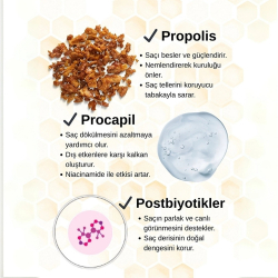 Ashley Joy Propolis Saç Bakım Sütü - 200 ml - Ashley Joy (1)