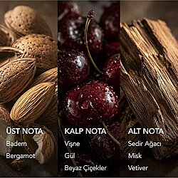 Aurelia Genève Still On Skin Nemlendirici Saç ve Vücut Spreyi 100 ml (Vişne & Sedir) - 3