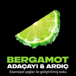 Axe Premium Collection Aqua Bergamot 3'ü 1 Arada Duş Jeli 300ml - 3