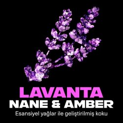 Axe Premium Collection Blue Lavander 3'ü 1 Arada Duş Jeli 300ml - 3