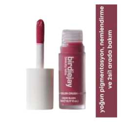 Birdiejay Beauty Labs Color Crush Likit Allık-105 Purple Cloud