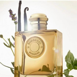 Burberry Goddess Intense Edp Kadın Parfüm 100ml - 2