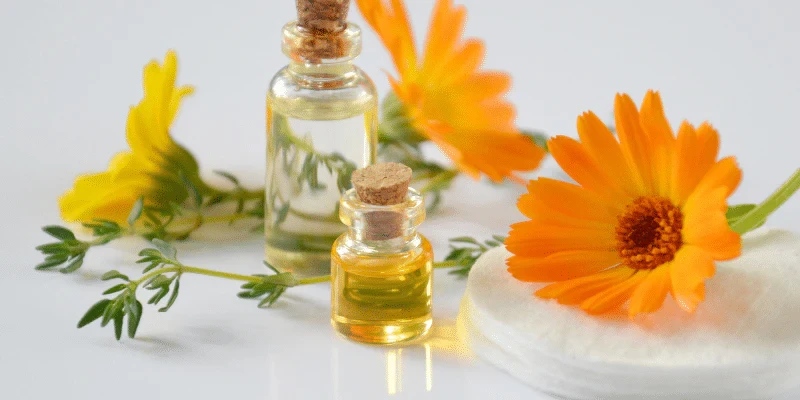 Calendula Nedir?
