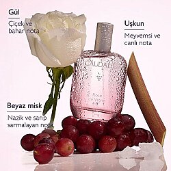 Caudalie Rose De Vigne Aromalı Parfüm 50 ml - Caudalie (1)