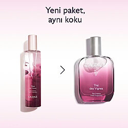 Caudalie Thé des Vignes Aromalı Parfüm 50 ml - 6