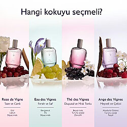 Caudalie Thé des Vignes Aromalı Parfüm 50 ml - 7