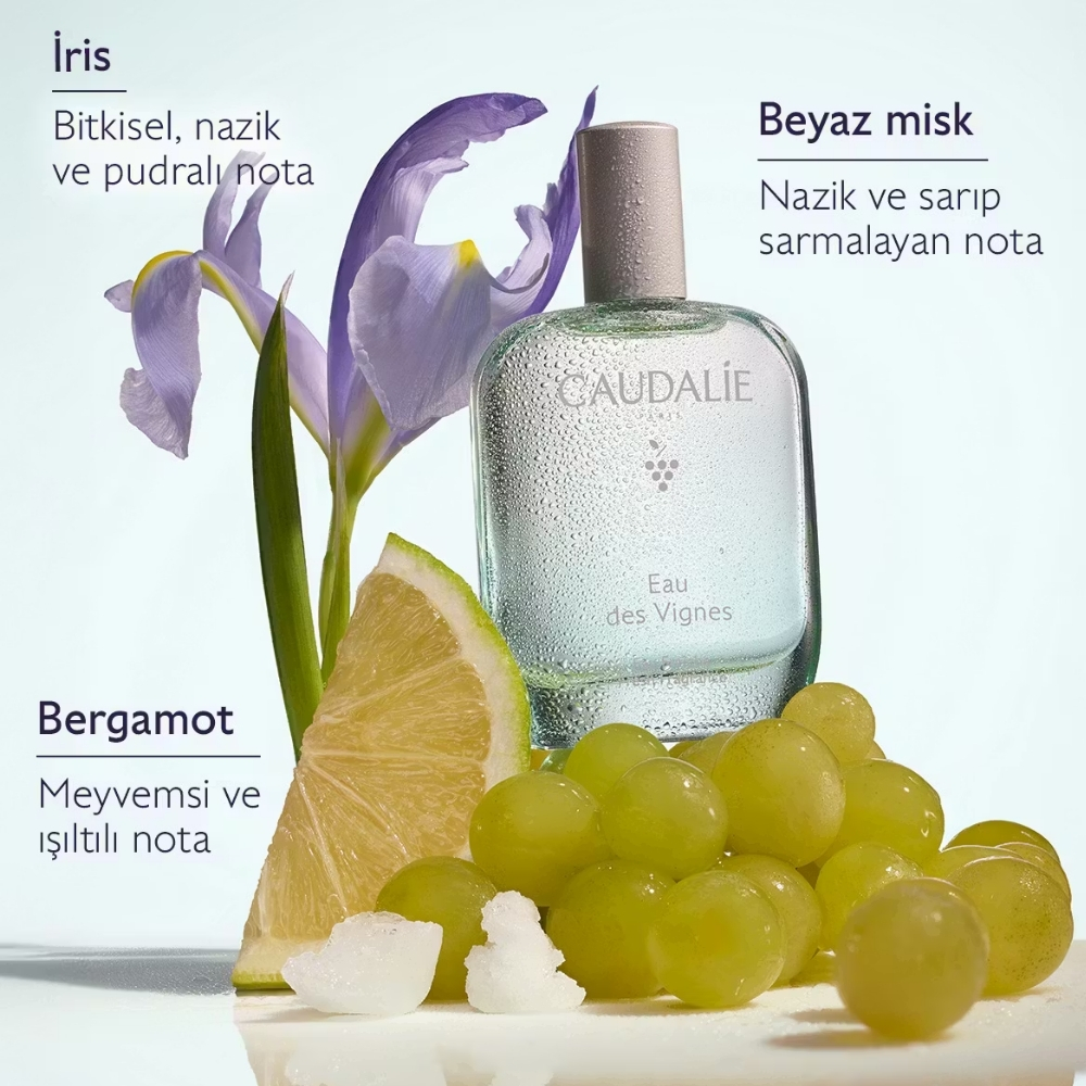 Caudalie Thé Eau des Vignes Aromalı Parfüm 50 ml - 4