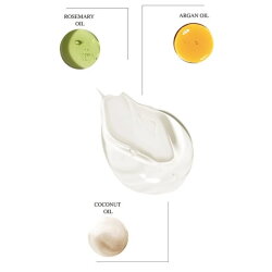 Clara Hygienics Balance+ Biberiye Argan & Hindistan Cevizi Yağlı Sebum Dengeleyici Saç Yağı 100ml - 3