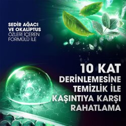 Clear Men Günlük Arınma ve Ferahlık Kepeğe Karşı Etkili Şampuan 350ml - 4