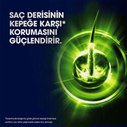 Clear Men Kepeğe Karşı Etkili Şampuan Legend Haaland 350ml - 2
