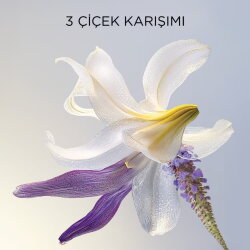 Darphin Eclat Sublime Rejuvenating Repair Yaşlanma Karşıtı Bakım Kremi 50ml - 4