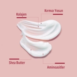 Dermoten Repage Kolajen & Kırmızı Yosun Cilt Bakım Kremi 50 ml - 2
