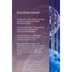 Dermoten StemAge Eksozom Sıkılaştırıcı Boyun ve Dekolte Kremi - 7