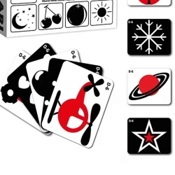 Diytoy Bebeğimin İlk Zeka Kartları Seti - Diytoy (1)