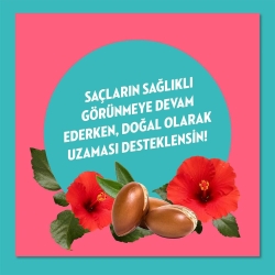 Elidor Doğanın Enerjisi Argan Yağlı & Hibiskus Özlü Şampuan 400ml - 4