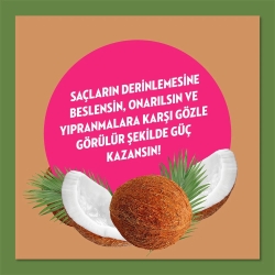 Elidor Doğanın Enerjisi Hindistan Cevizi Yağı Şampuan 400ml - 4