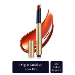 Estee Lauder Pure Color Melt-On Glosstick Dolgunlaştırıcı Etkili Parlatıcı 890 Melted Tangerine