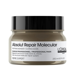 Loreal Professionnel Absolut Repair Molecular Yıpranmış Saçlar için Maske 250ml