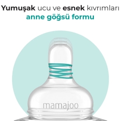 Mamajoo Silikon Saklama Kutulu Biberon Emziği Antikolik 2'li 12Ay+ - 6