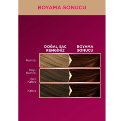 Palette Deluxe Saç Boyası No: 5-68 Kestane - 3