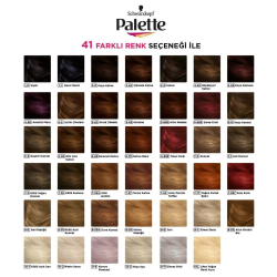Palette Deluxe Saç Boyası Sıcak Çikolata No: 5-60 50 ml - 3
