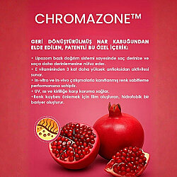 PANORAMA PROFESSIONAL Longevity - Boyalı Saçlar için Şampuan - 250 ml - Panorama Professional (1)