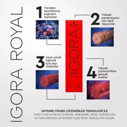 Schwarzkopf Igora Royal Saç Boyası 60ml - 6.4 Koyu Kumral Bej - 4