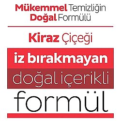 Sleepy Easy Clean Kiraz Çiçeği Yüzey Temizlik Havlusu 100 Yaprak - 4