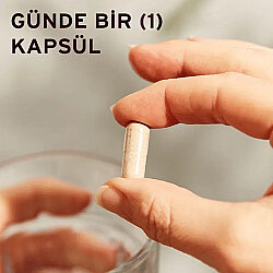 Solgar Standardize Rodiola Kök Ekstresi 60 Kapsül - 3