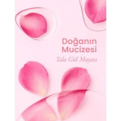 Tala Gül Mayası 100ml - 3
