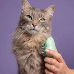 Tangle Teezer Cat Grooming Brush Green Kedi Bakım Fırçası - 8