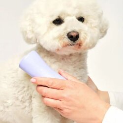 Tangle Teezer Evcil Hayvan Tarağı - 7