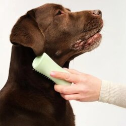 Tangle Teezer Pet Puppy Brush Grooming Green Köpek Bakım Fırçası - 8