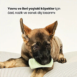 Tangle Teezer Pet Puppy Brush Grooming Green Köpek Bakım Fırçası - 4