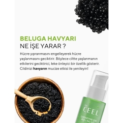 The Ceel Beluga Havyarı Özlü Arındırıcı ve Aydınlatıcı Etkili Coenzyme Q10 Yüz Peelingi 100 ml - The Ceel