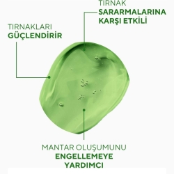 The Ceel Ceelini El ve Ayak Tırnak Besleyici Güçlendirici Serum Çay Ağacı ve Salisik Asit Özlü 30ml - 6