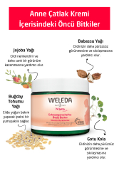 Weleda Çanta ve Bebek Tanışma Seti Hediyeli - Anne Bakım Seti - 6