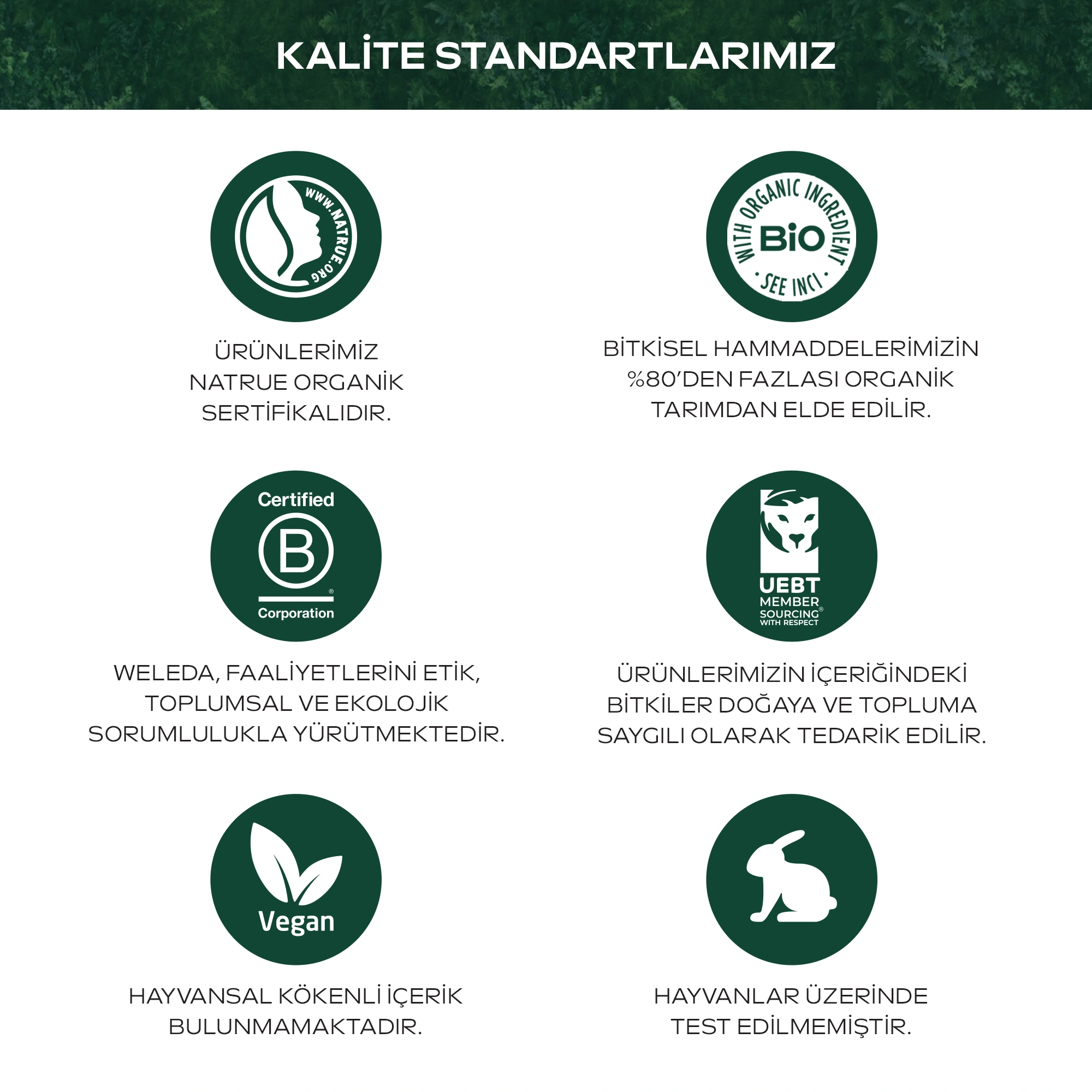 Weleda Anne Çatlak Yağı 2x100ml - 5