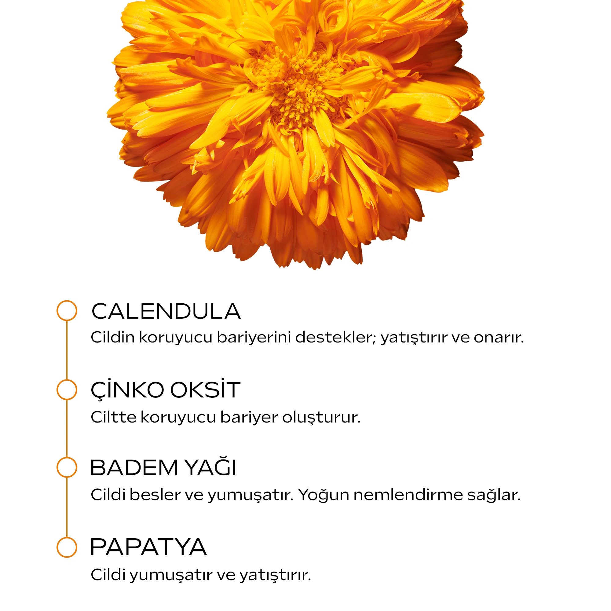Weleda Calendula Organik Pişik Kremi 75ml - 3
