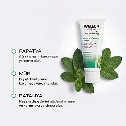 Weleda Bitki Özlü Organik Diş Macunu 75ml - 4