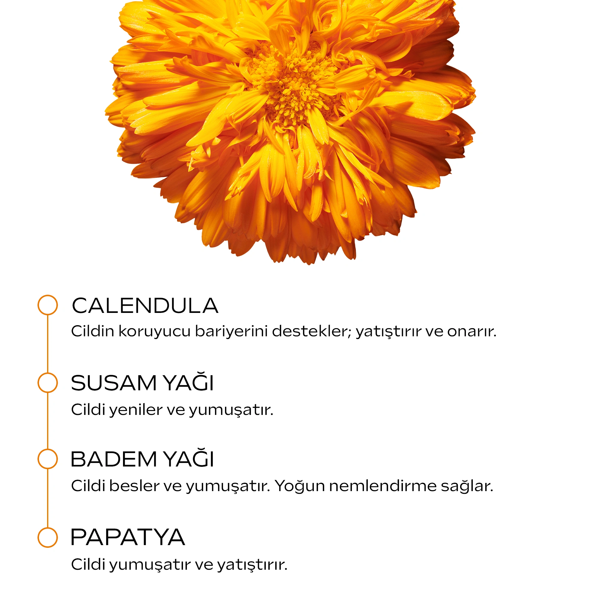 Weleda Calendula Organik Nemlendirici Vücut Losyonu 200ml - 3