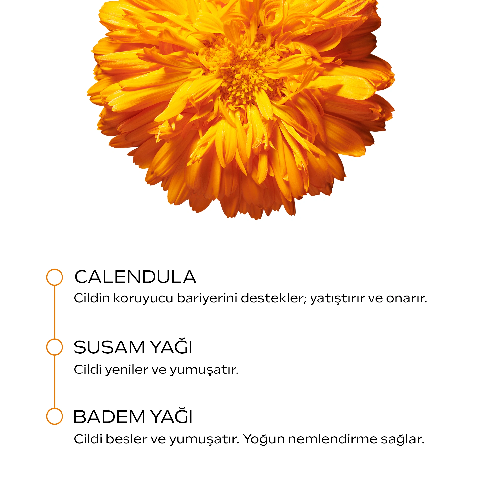 Weleda Calendula Özlü Organik Saç ve Vücut Şampuanı 400ml - 3