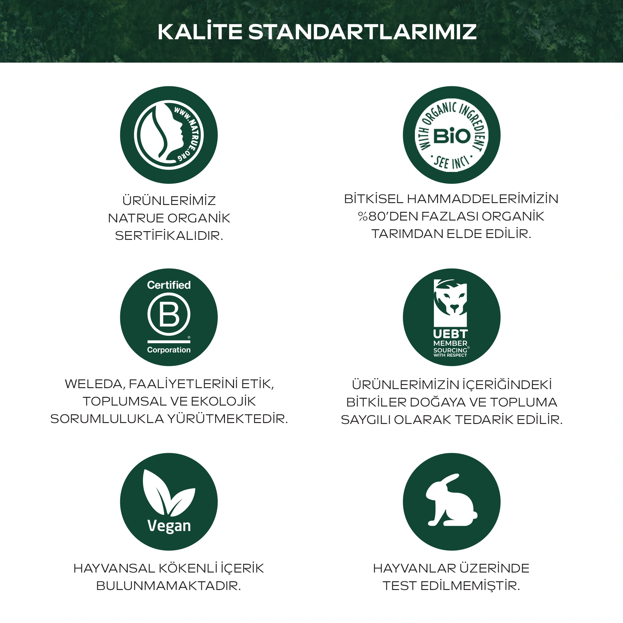 Weleda Calendula Özlü Organik Saç ve Vücut Şampuanı 400ml - 6