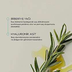 Weleda Biberiye Özlü Organik Canlandırıcı Saç Bakım Şampuanı 250ml - 3