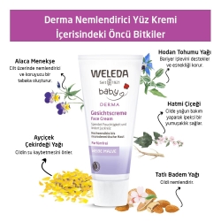 Weleda Derma Nemlendirici Yüz Kremi 50ml - 3