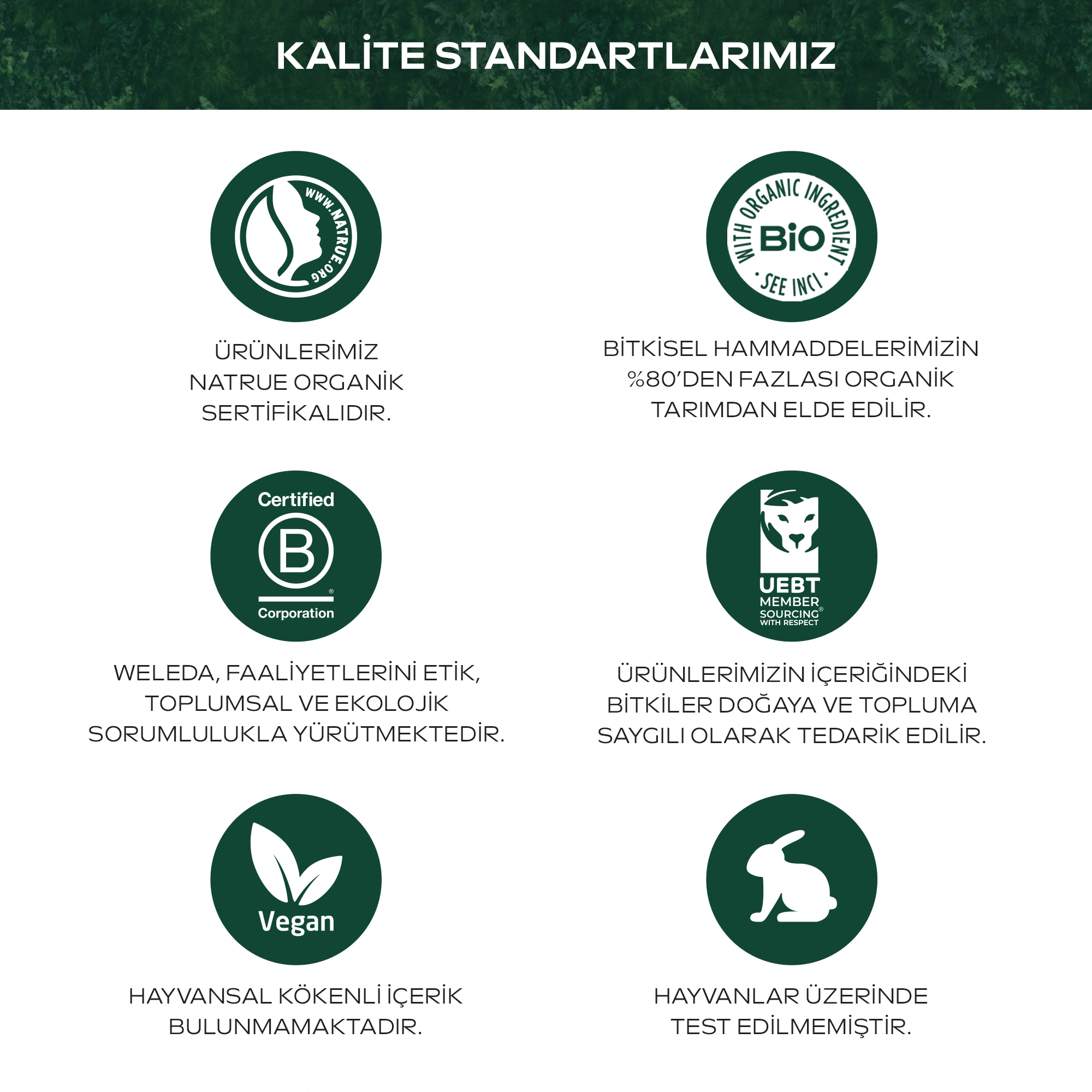 Weleda Hydro Shine Hydration Conditioner Organik Işıltı Veren Nemlendirici Saç Kremi 150ml - 5